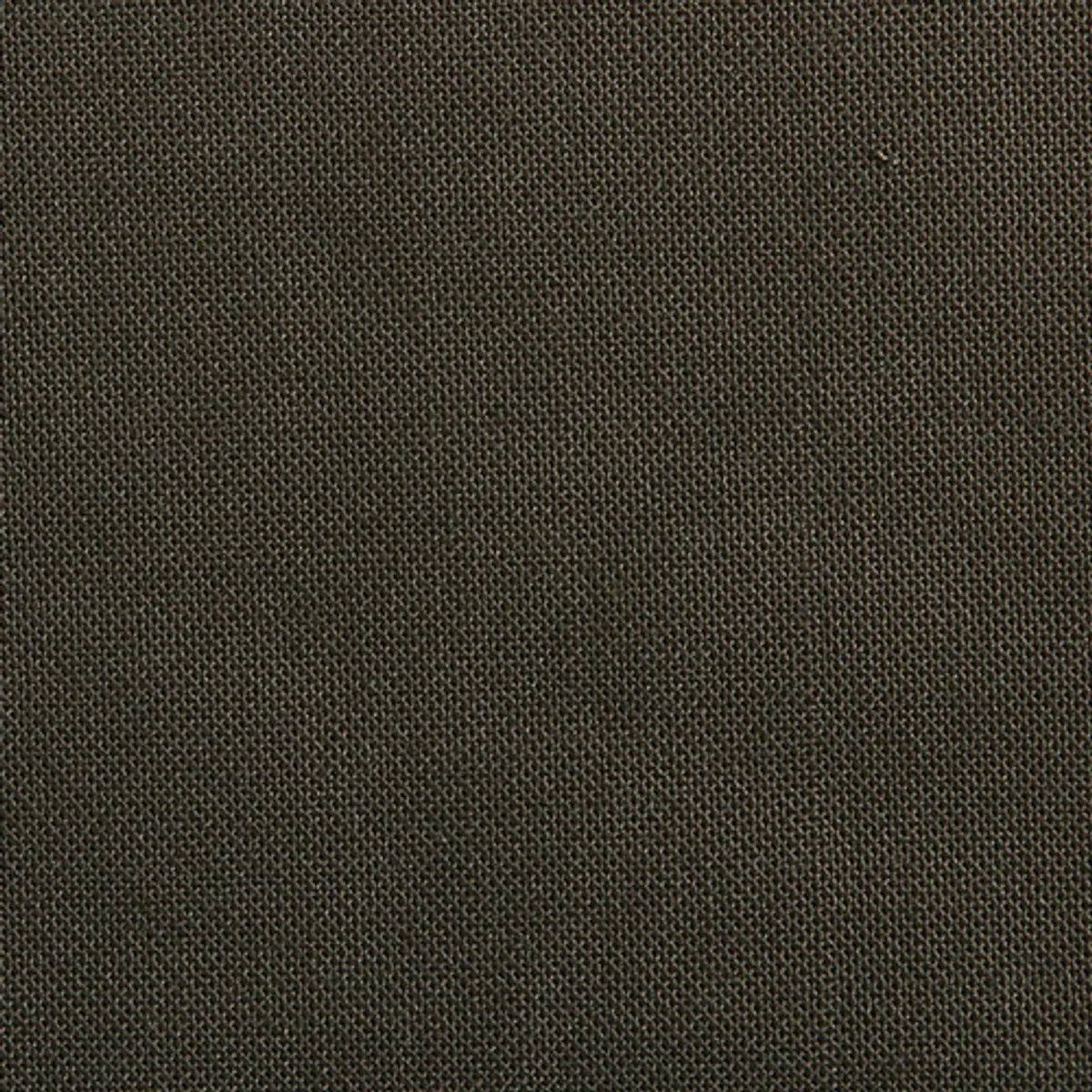 Solid dark brown color swatch